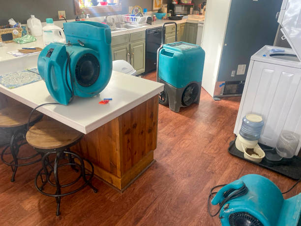 Best Flood damage cleanup  in Jasonville, IN