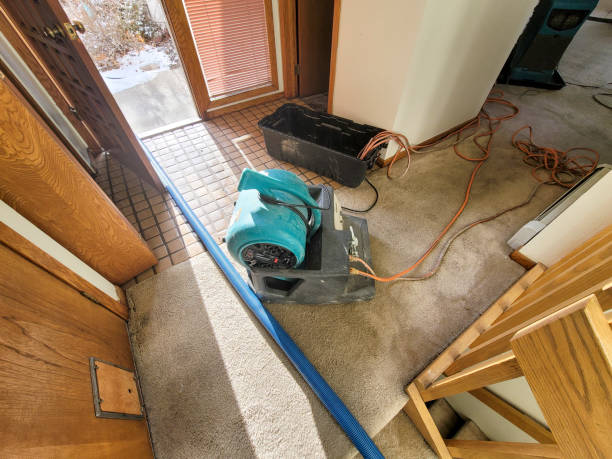 Best Water damage restoration near me  in Jasonville, IN