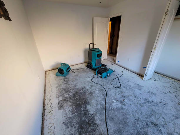 Best Emergency water damage restoration  in Jasonville, IN