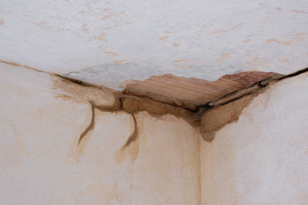 Best Residential water damage restoration  in Jasonville, IN
