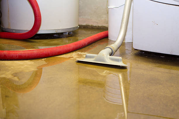 Best Water damage restoration near me  in Jasonville, IN