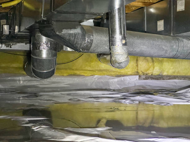 Best Basement water damage restoration  in Jasonville, IN