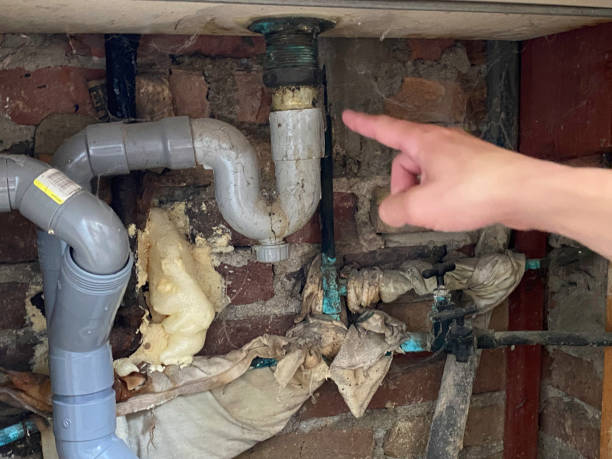 Best Commercial water damage restoration  in Jasonville, IN
