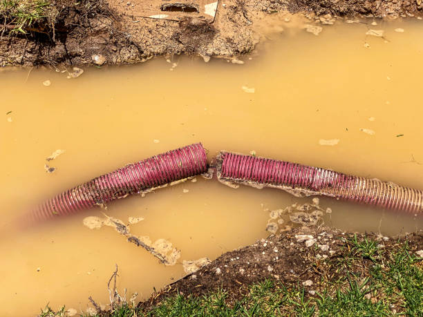 Best 24/7 water damage repair  in Jasonville, IN