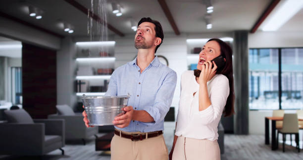 Water damage restoration experts in IN