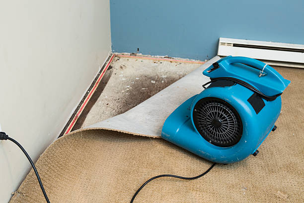 Best 24-hour water damage restoration  in Jasonville, IN